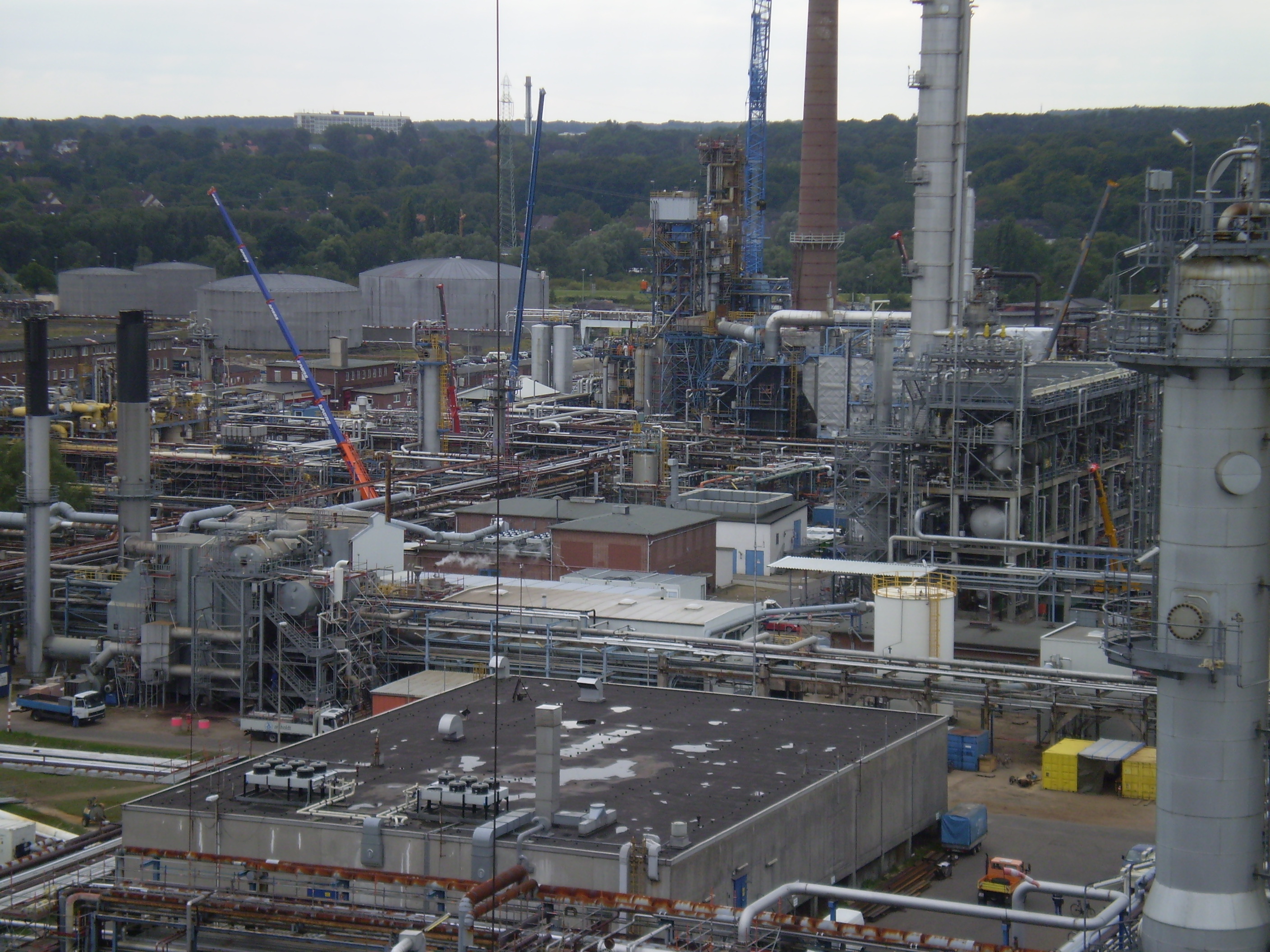 OLYMPUS DIGITAL CAMERA OLYMPUS DIGITAL CAMERA